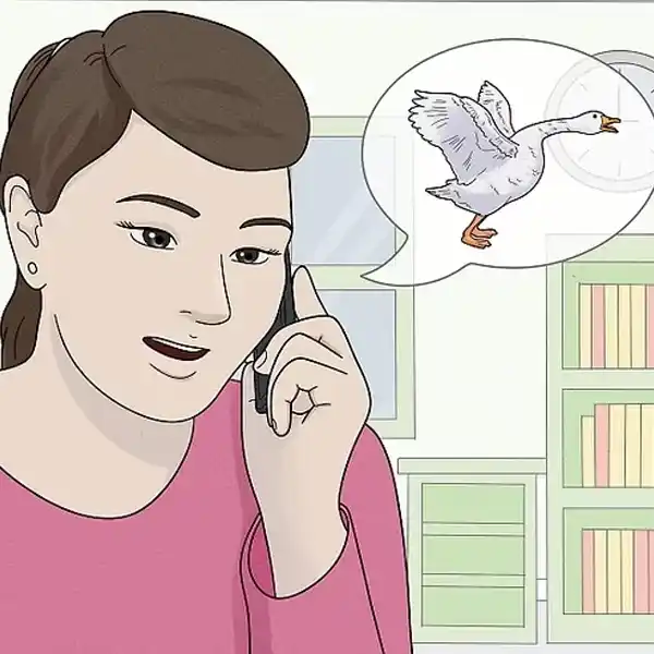 РАДИО ГУСЬ обратная связь РАДИО ГУСЬ обратная связь